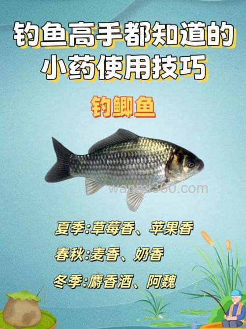 怎么样使用钓鱼小药