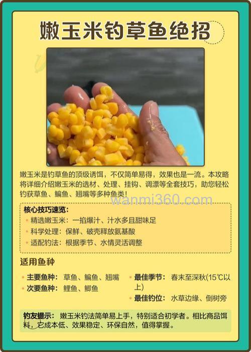 嫩玉米钓草鱼绝招是什么?