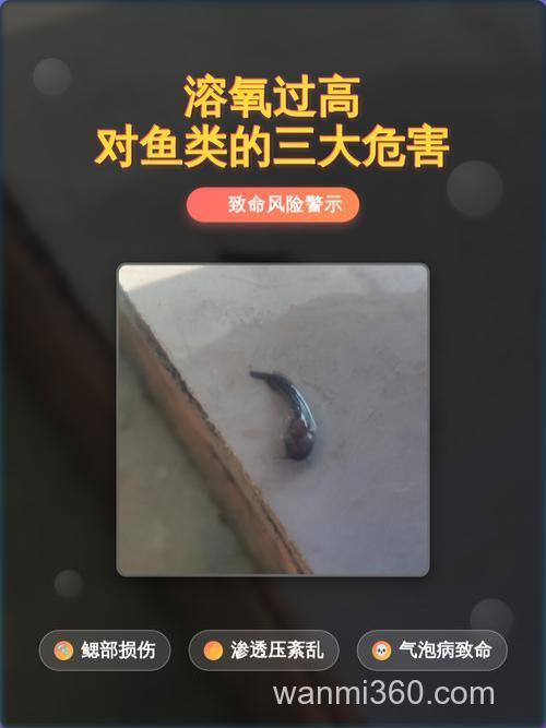 溶氧量高低对鱼生长的影响有哪些?