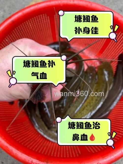 油潲水能喂鱼不，能不能放鱼塘里，对鱼有危害没有？