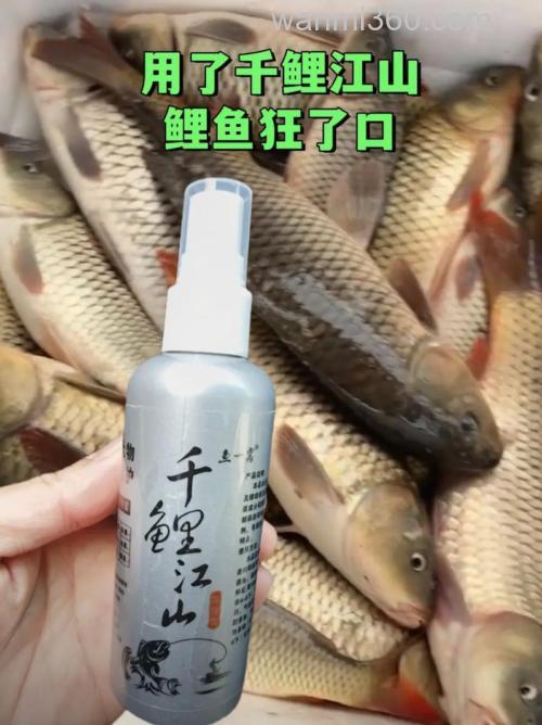 什么诱鱼剂好