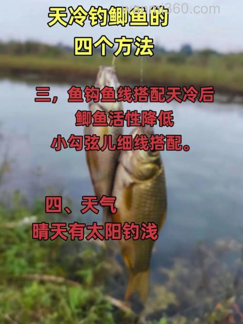 冬季温差变化大怎么钓鲫鱼好?