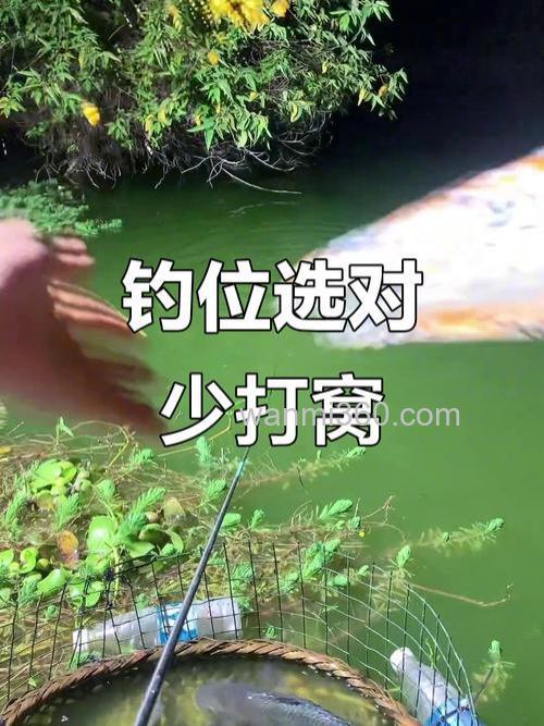 野钓打窝打在什么位置?