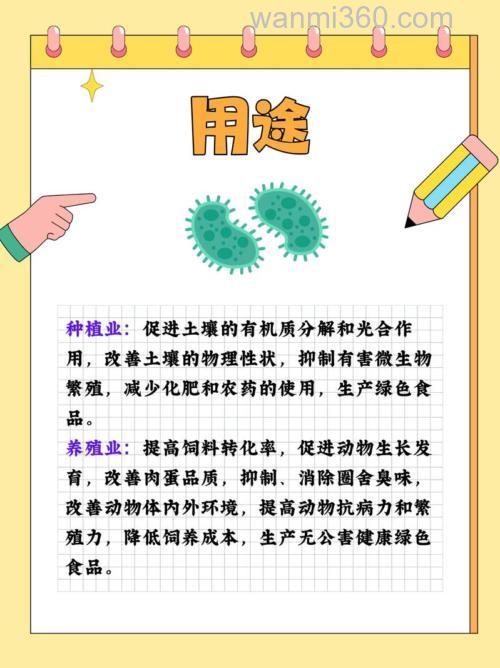EM菌的应用