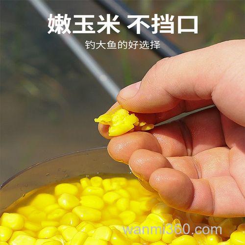麝香酒泡玉米钓鱼怎么样？