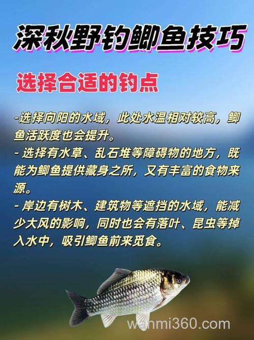 鲫鱼的钓法与技巧?