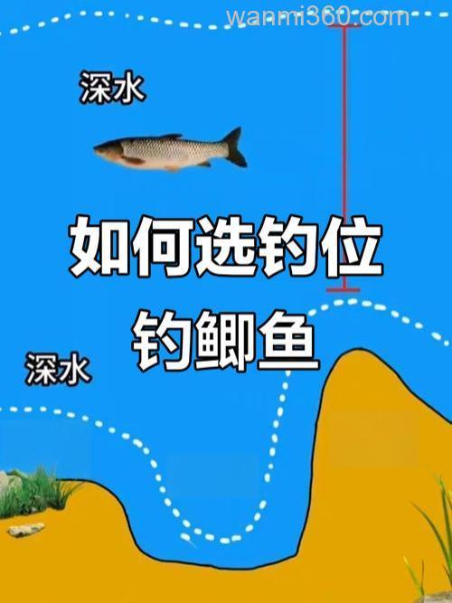 12月份钓鲫鱼水库位置选择?