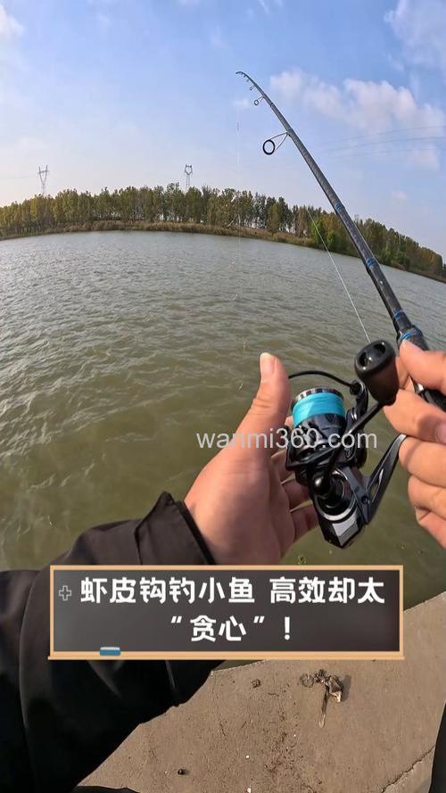 虾皮能钓鱼么