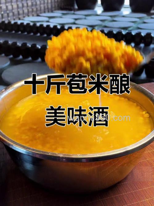 嫩玉米能做酒吗?