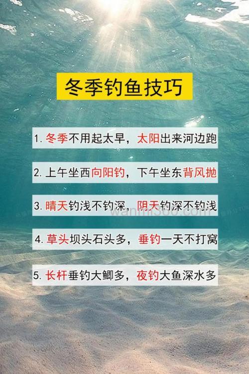 冬季的鱼难钓吗为什么?冬季钓鱼的技巧和方法