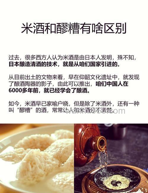 酒酿和酒糟的区别？