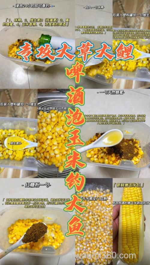 怎么用玉米做窝，野钓大鲫鱼？