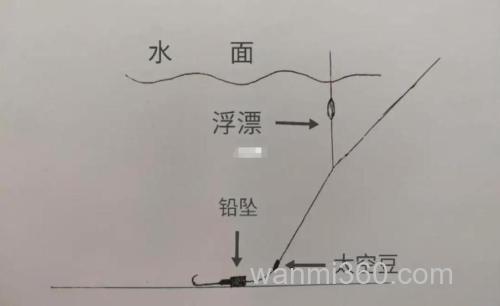 半水钓鲫鱼方法?