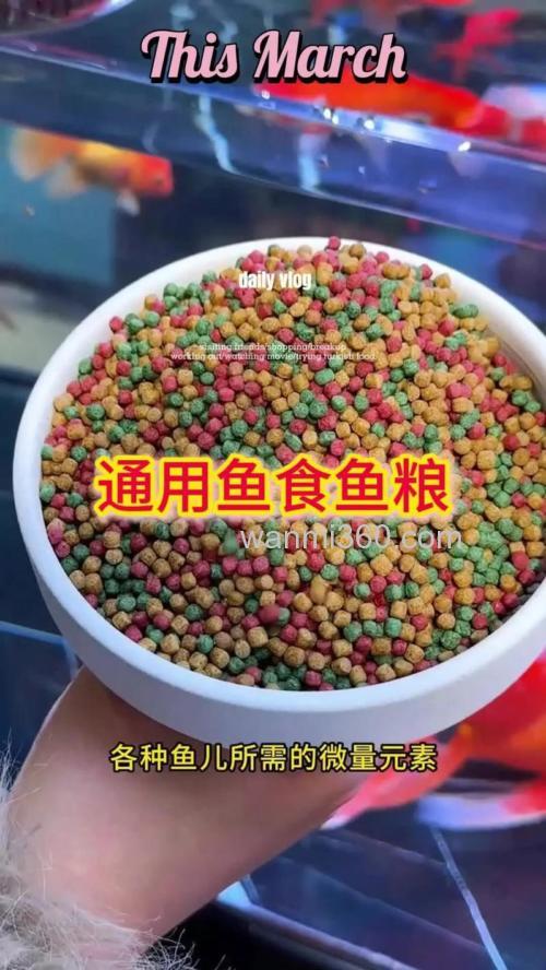 鲫鱼食料可以喂金鱼吗?