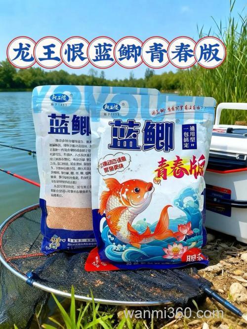 龙王恨蓝鲫能空勾钓鲫鱼吗