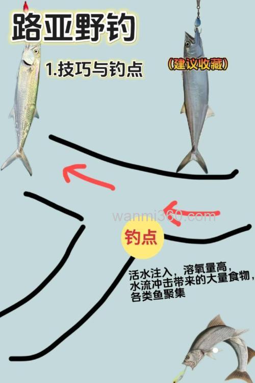 野钓大鱼的钓组搭配和选鱼竿技巧