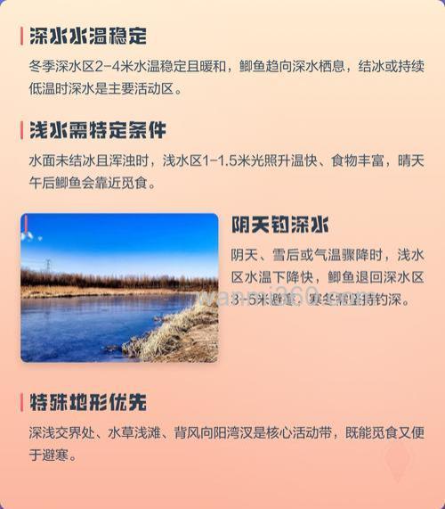 冬季钓鲫鱼是钓深水还是浅水？深浅都要兼顾！