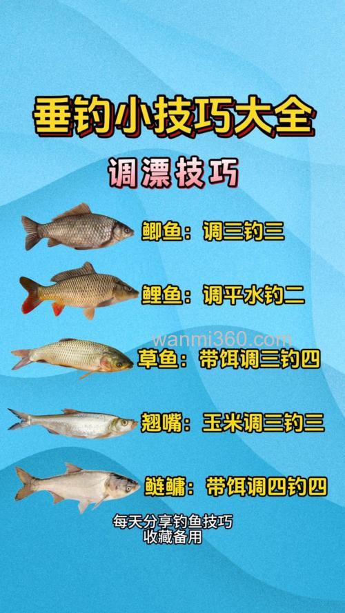 春季野钓多种对象鱼种的浮钓技巧
