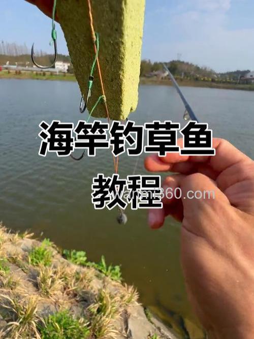 海竿钓草鲤技巧?