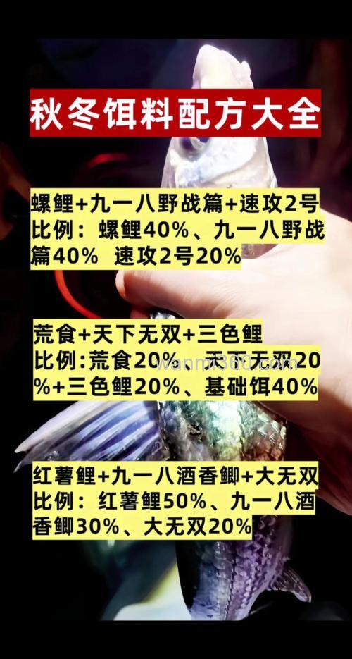北方秋季夜钓大鲫鱼饵料配方(老鬼918加超诱)