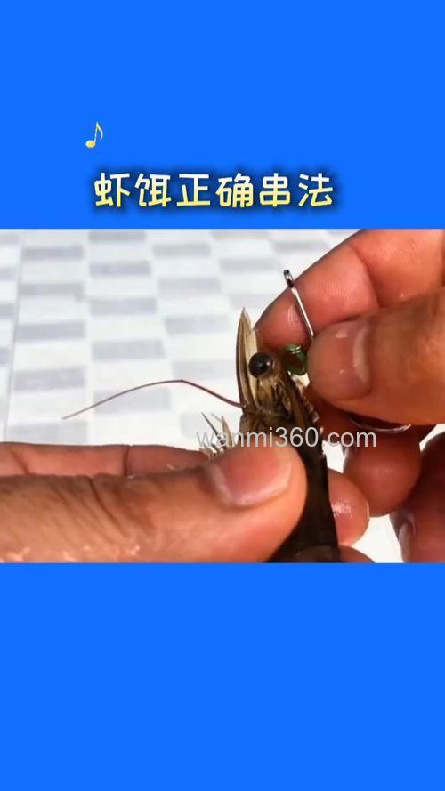 怎样制做虾饵