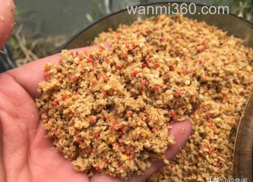 秋天打窝要提前多久?