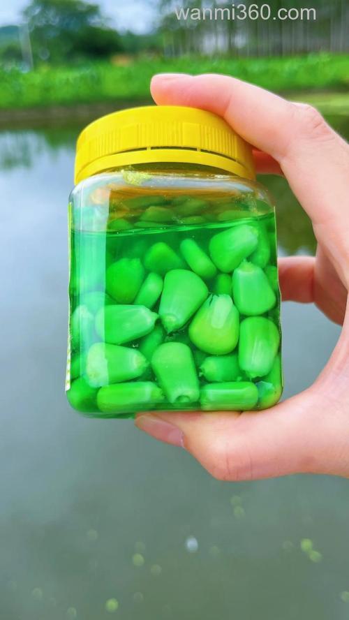 中秋后水库钓草鱼用什么玉米？