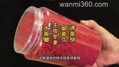 小麦窝料与酒米哪个诱鱼快?