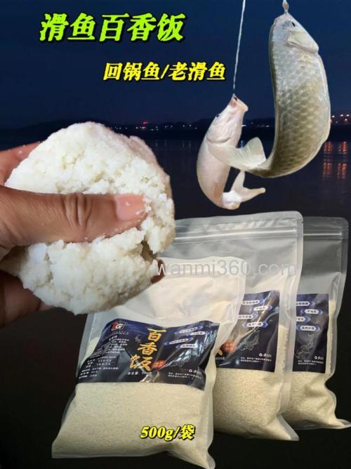 米饭饵钓回锅鲤鱼怎么做窝?