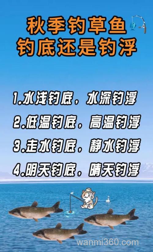 秋季钓草鱼是钓底,还是钓浮?