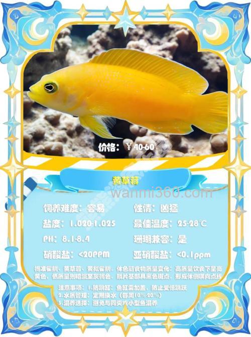 草莓味果酸钓什么鱼?