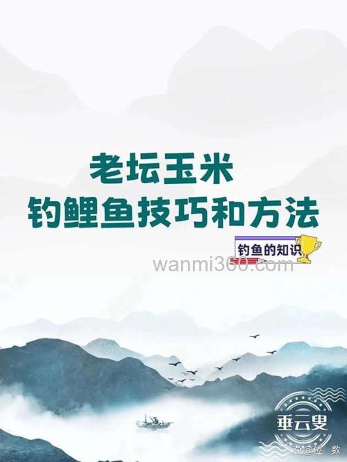秋天钓鲤鱼用蚯蚓玉米商品饵哪个好？