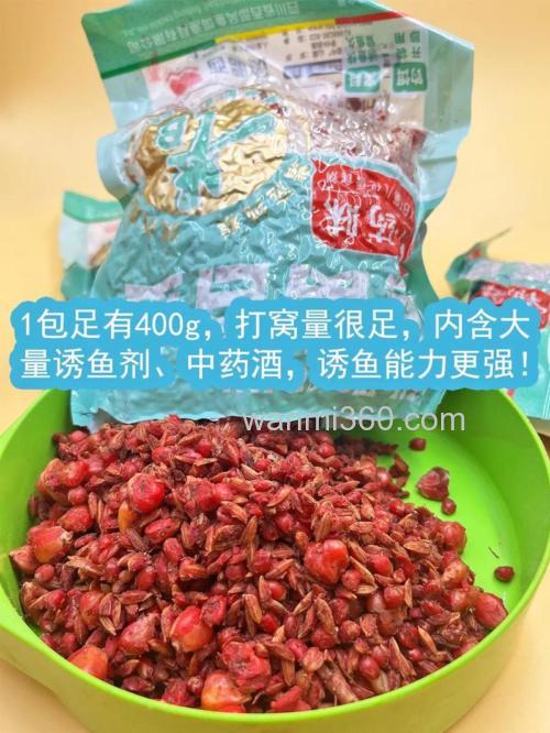 秋季谷麦如何钓鲤鱼和鲫鱼?
