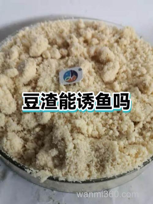 豆腐渣喂鲫鱼行不行?