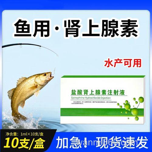 肾上腺素添加到鱼饵里效果怎么样？