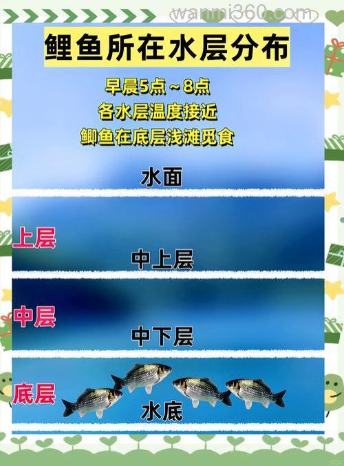 秋季鲫鱼在什么水层活动最多？