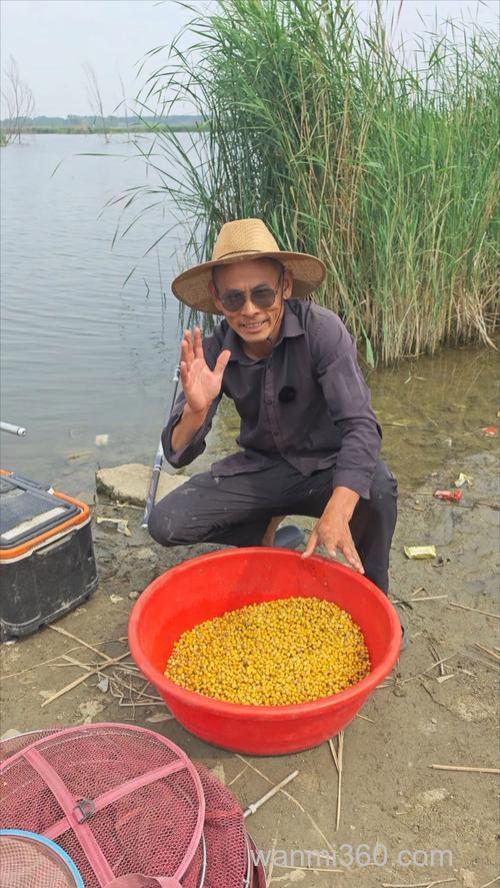 油糠和玉米打窩来草鱼吗法？