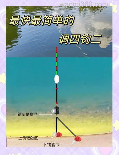 鲤鱼调几钓几最合适?
