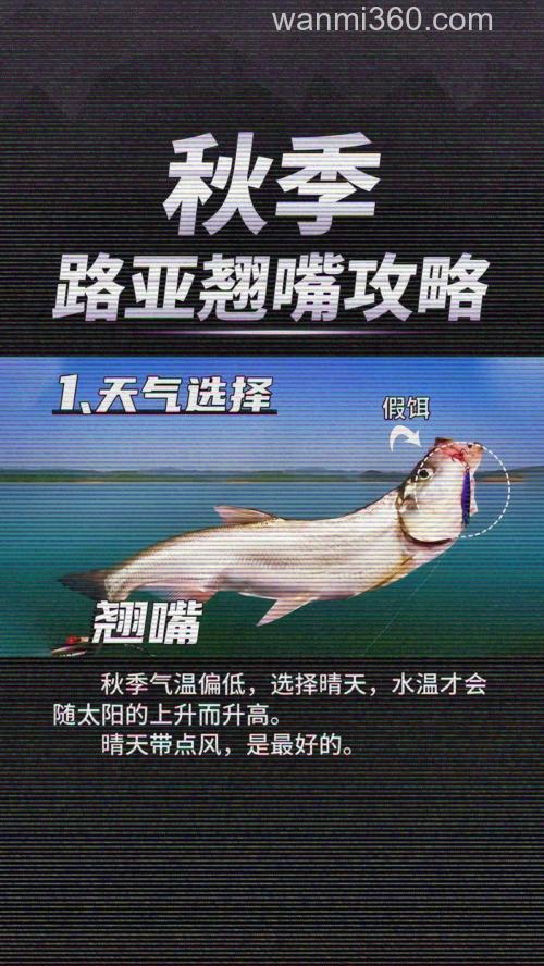 秋天钓翘嘴鱼最佳时间在几点?