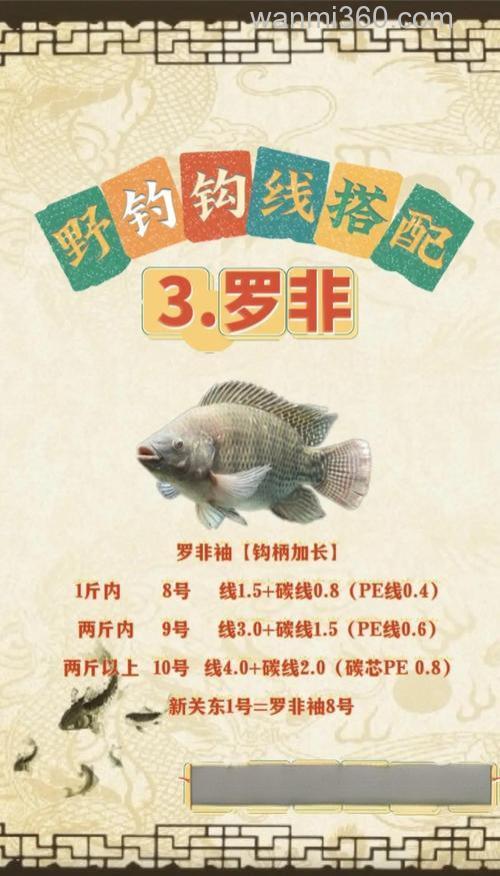 浅谈钓罗非鱼线组搭配和饵料配制分析