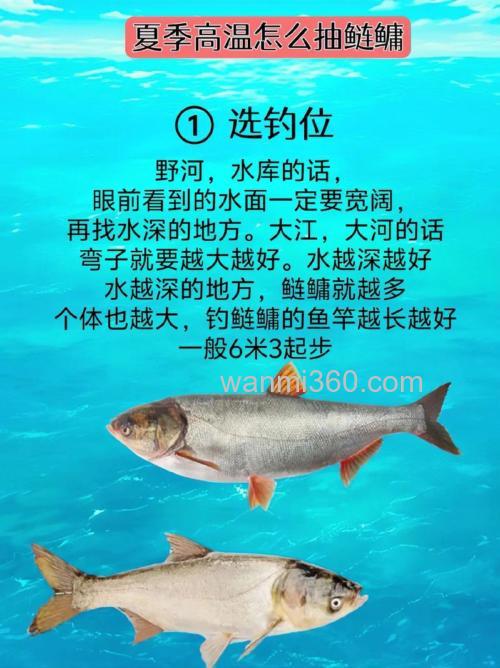 钓鲢鳙,高手透露5大钓法技巧