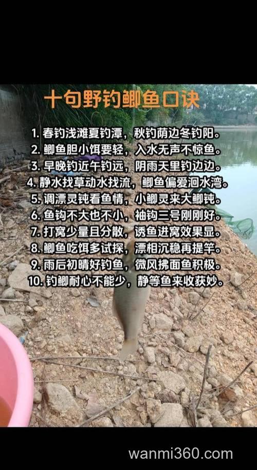 惊蛰前后钓鳊鱼的两个秘诀