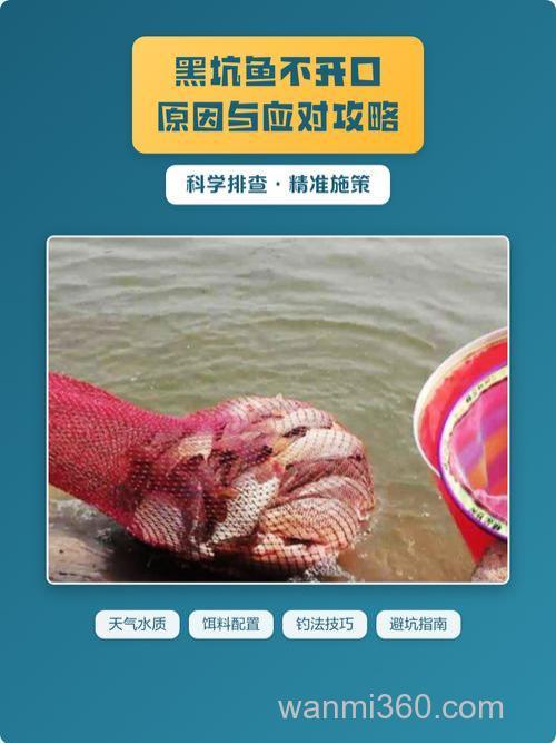 鱼不开口的原因及解决方法