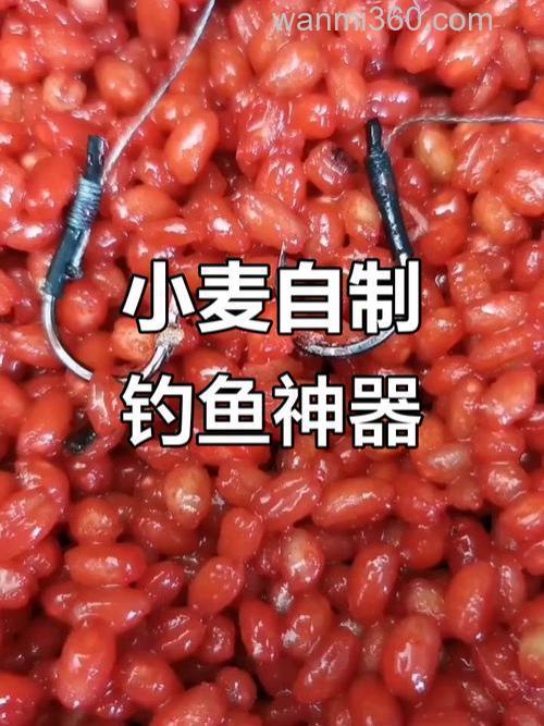 请教小麦怎样做钓饵
