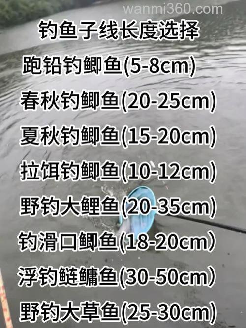 多长的子线最适合钓鱼?
