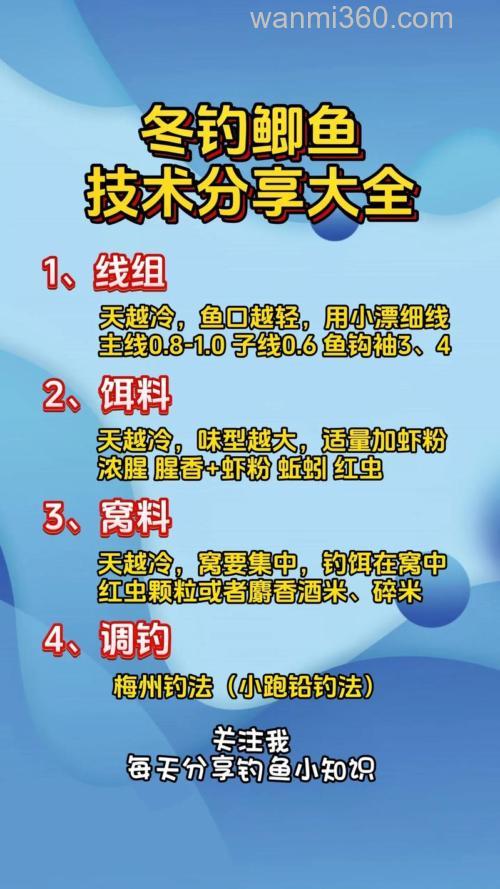 冬钓鲫鱼高效调钓法,中鱼率高达99%