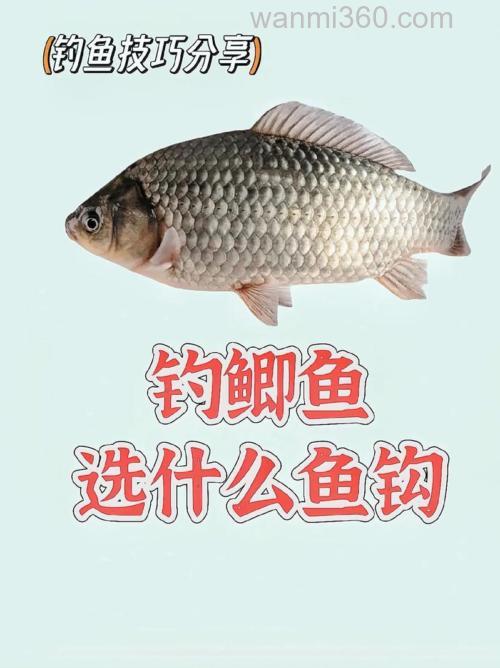 小杂鱼很多的池塘里用什么商品饵钓鲫鱼好用几号钩?