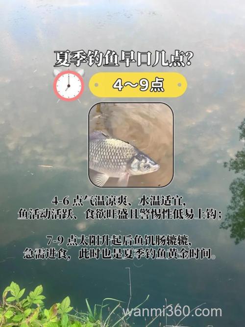 初夏如何钓鲫鱼论坛