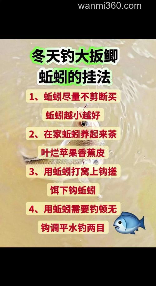 蚯蚓钓大鲫鱼绝招?