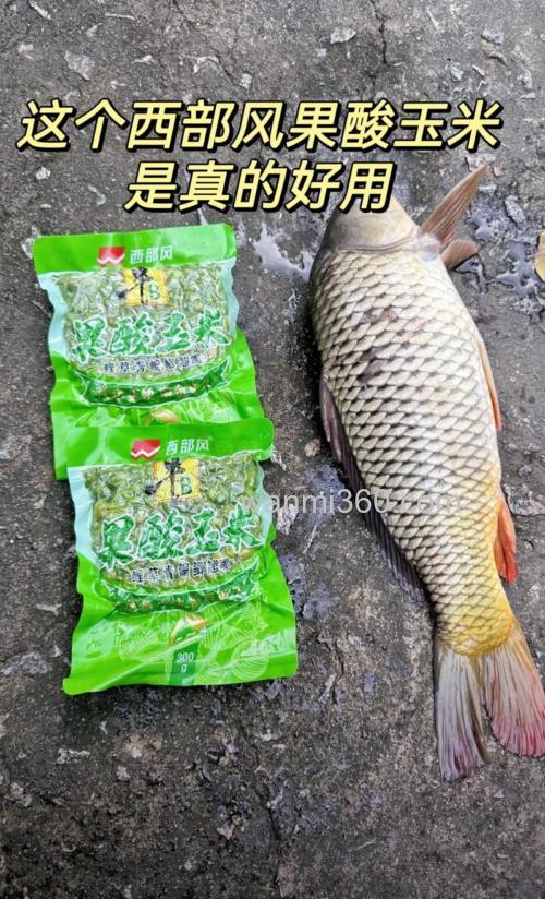 酸臭玉米在水库钓鱼招鲢鱼吗？